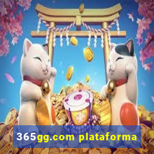 365gg.com plataforma